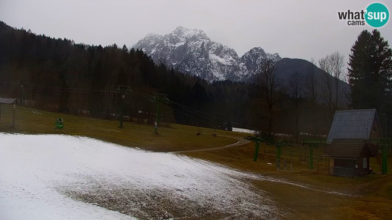 Skigebiet Kranjska Gora | Velika Dolina
