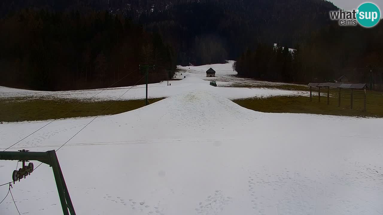 Skijanje Kranjska Gora | Velika Dolina