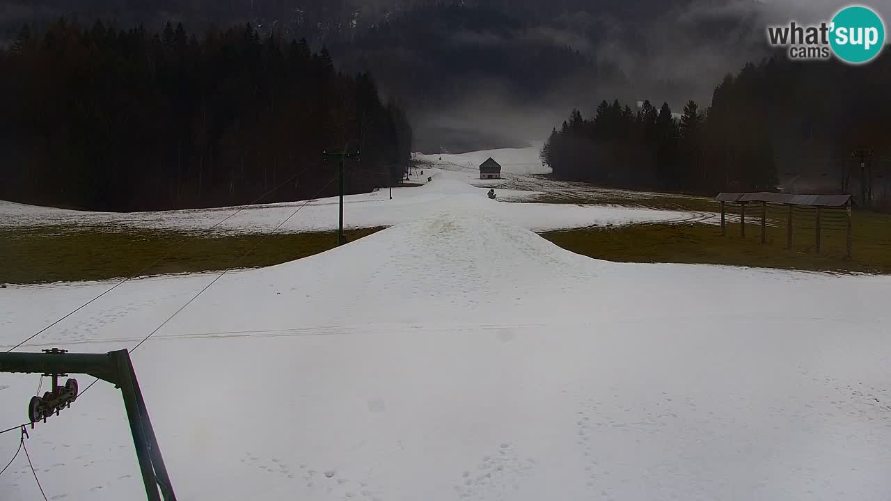 Skigebiet Kranjska Gora | Velika Dolina