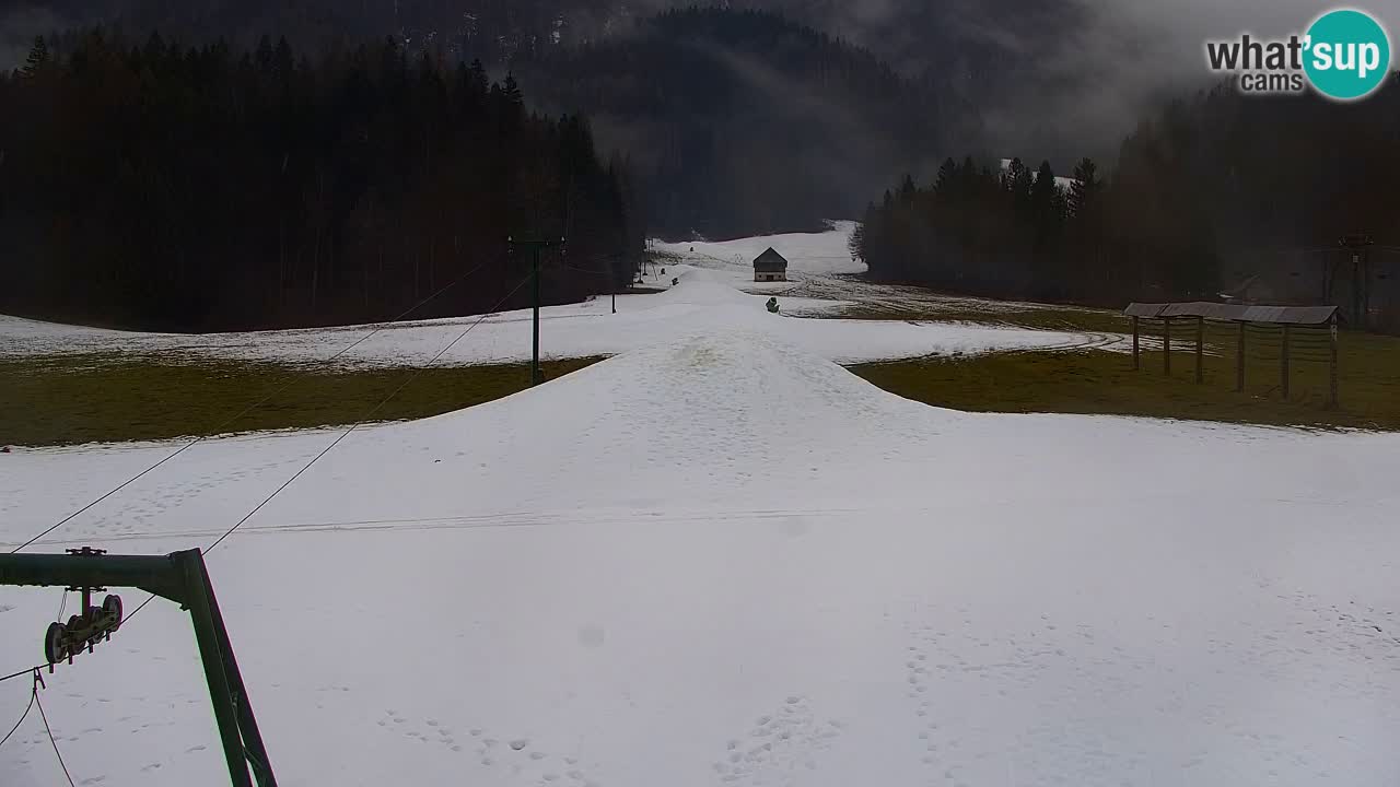 Skigebiet Kranjska Gora | Velika Dolina