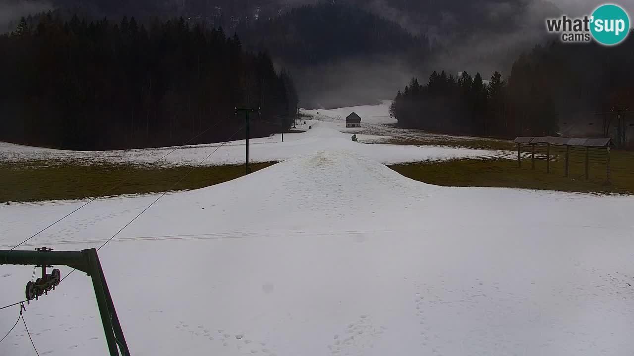 Skijanje Kranjska Gora | Velika Dolina