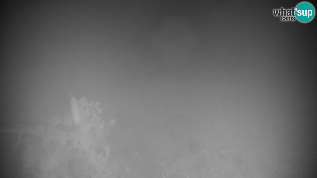 Skigebiet Kranjska Gora | Velika Dolina