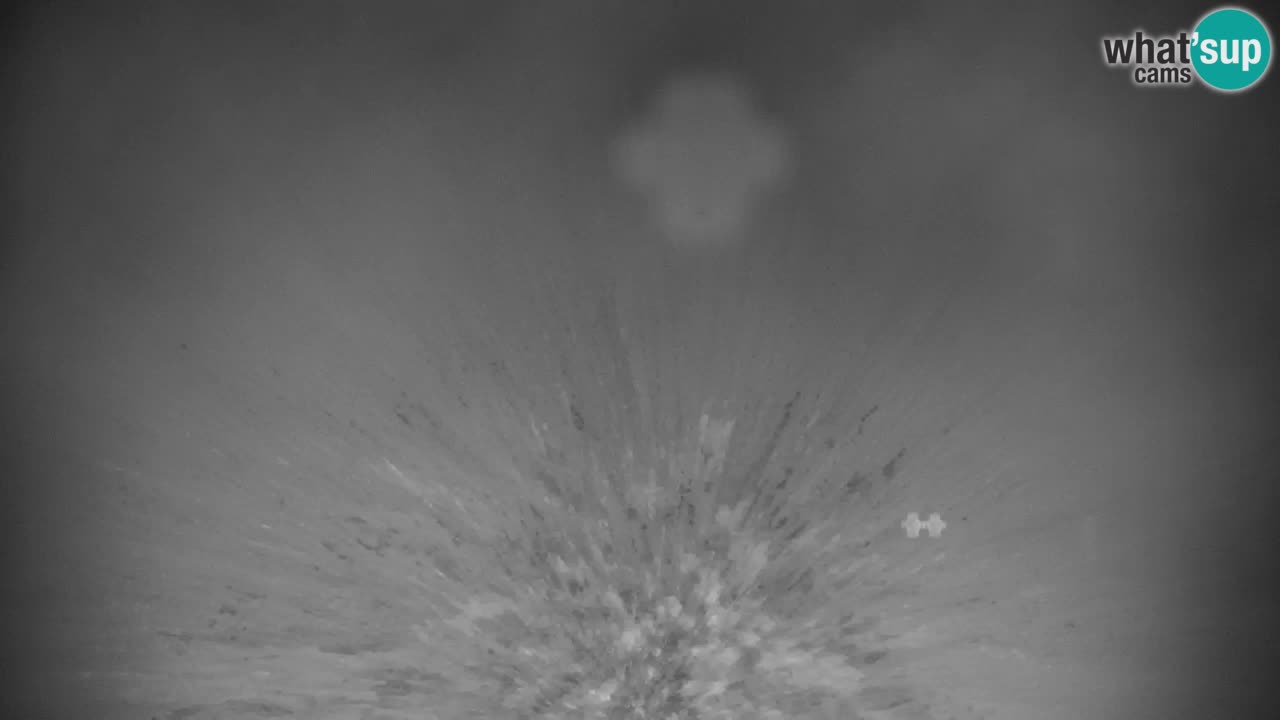 Skijanje Kranjska Gora | Velika Dolina