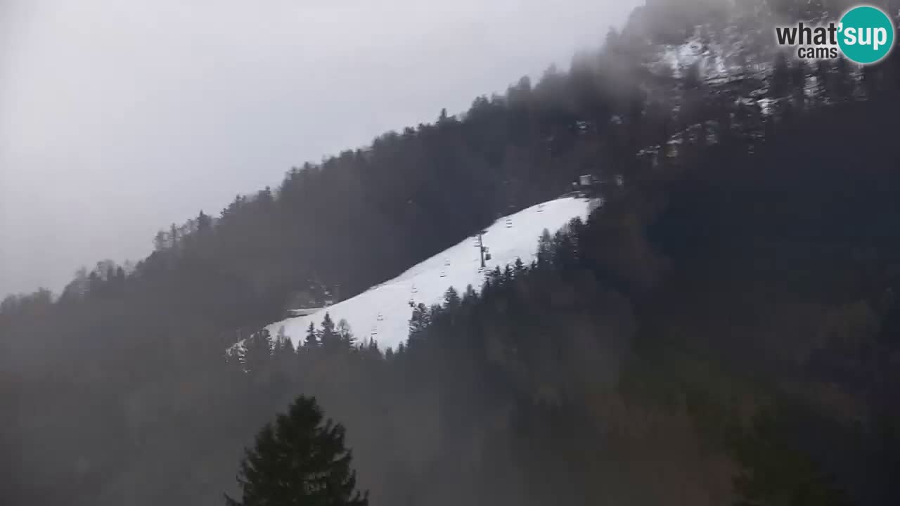 Skigebiet Kranjska Gora | Velika Dolina