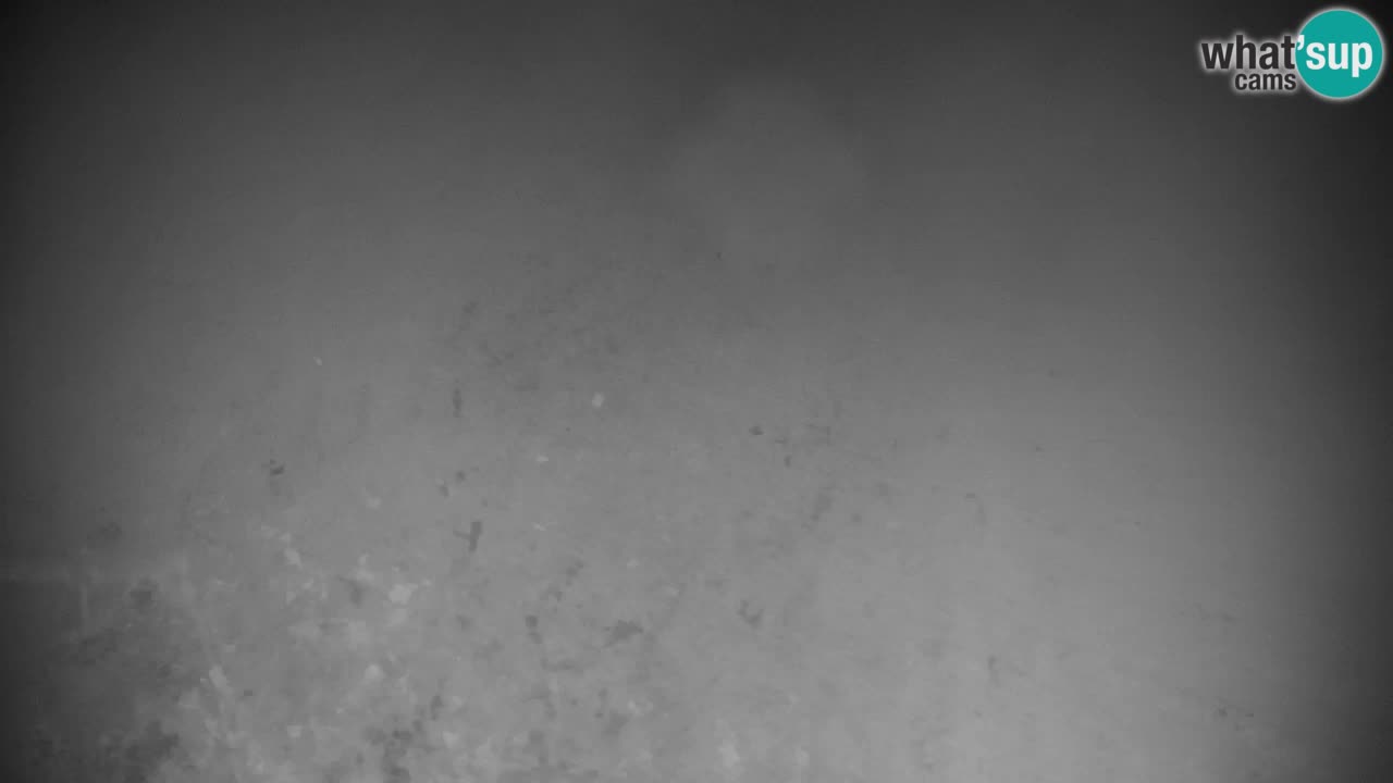 RTC Kranjska Gora | Velika Dolina