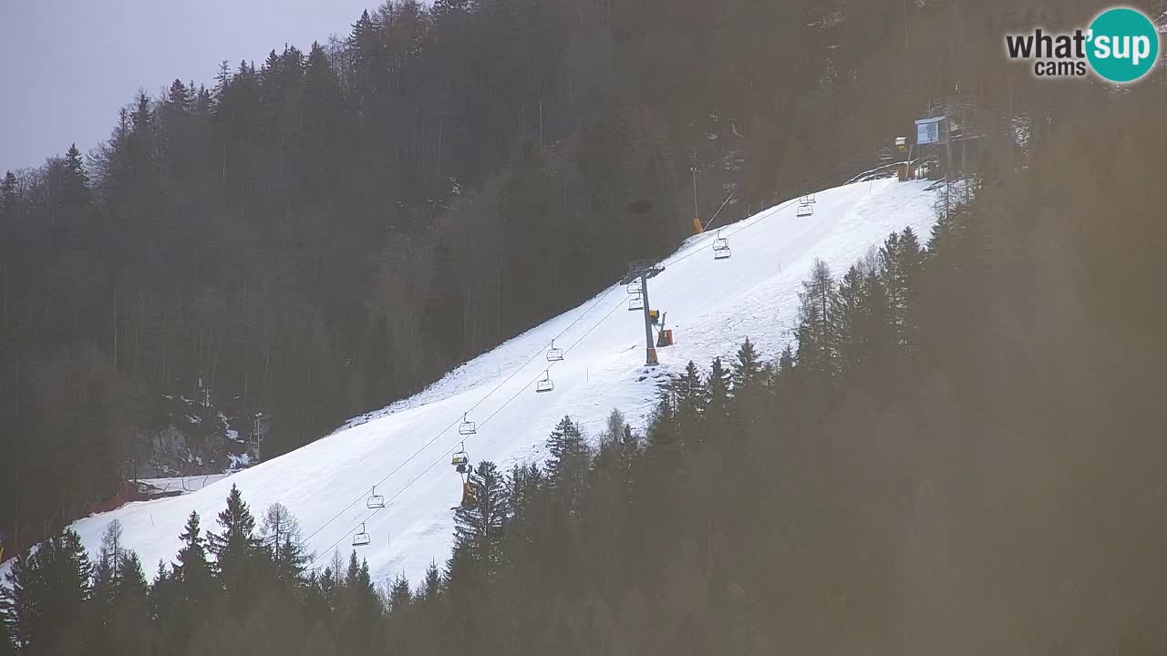 Station de ski Kranjska Gora | Velika Dolina