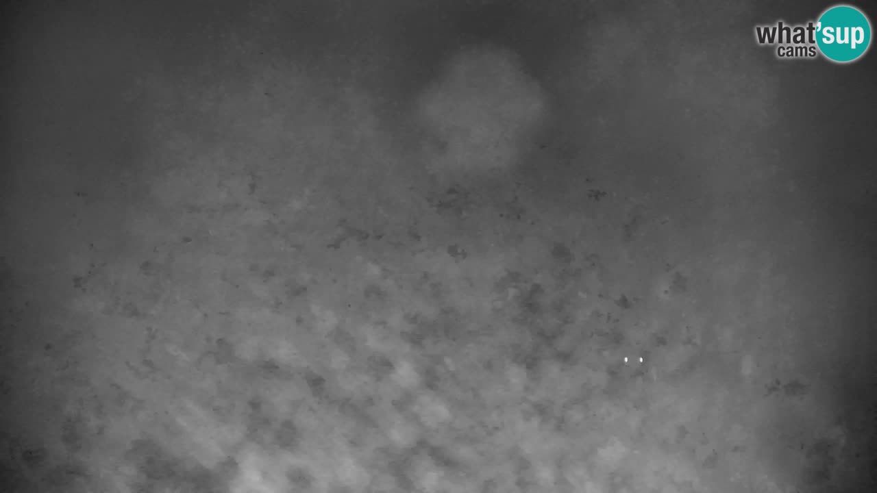 Estación de esquí Kranjska Gora | Velika Dolina