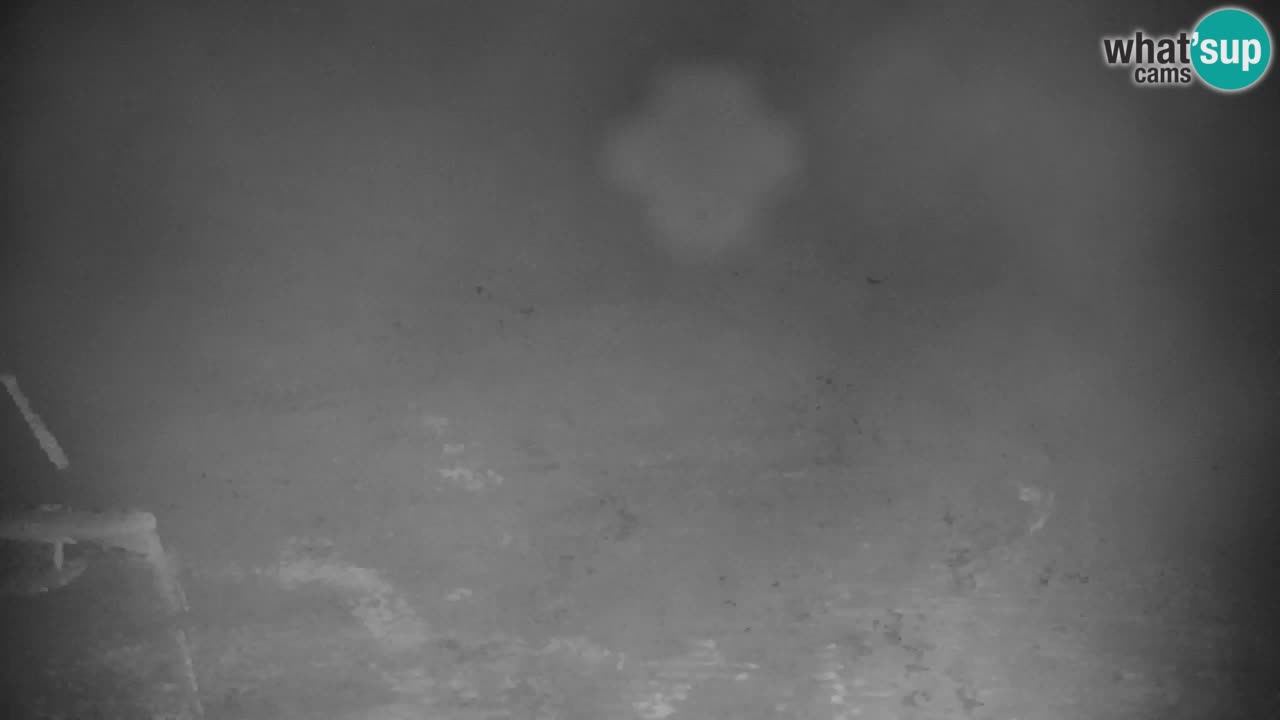 Estación de esquí Kranjska Gora | Velika Dolina