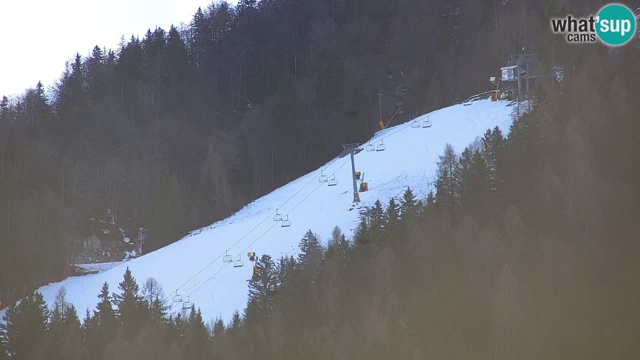 RTC Kranjska Gora | Velika Dolina