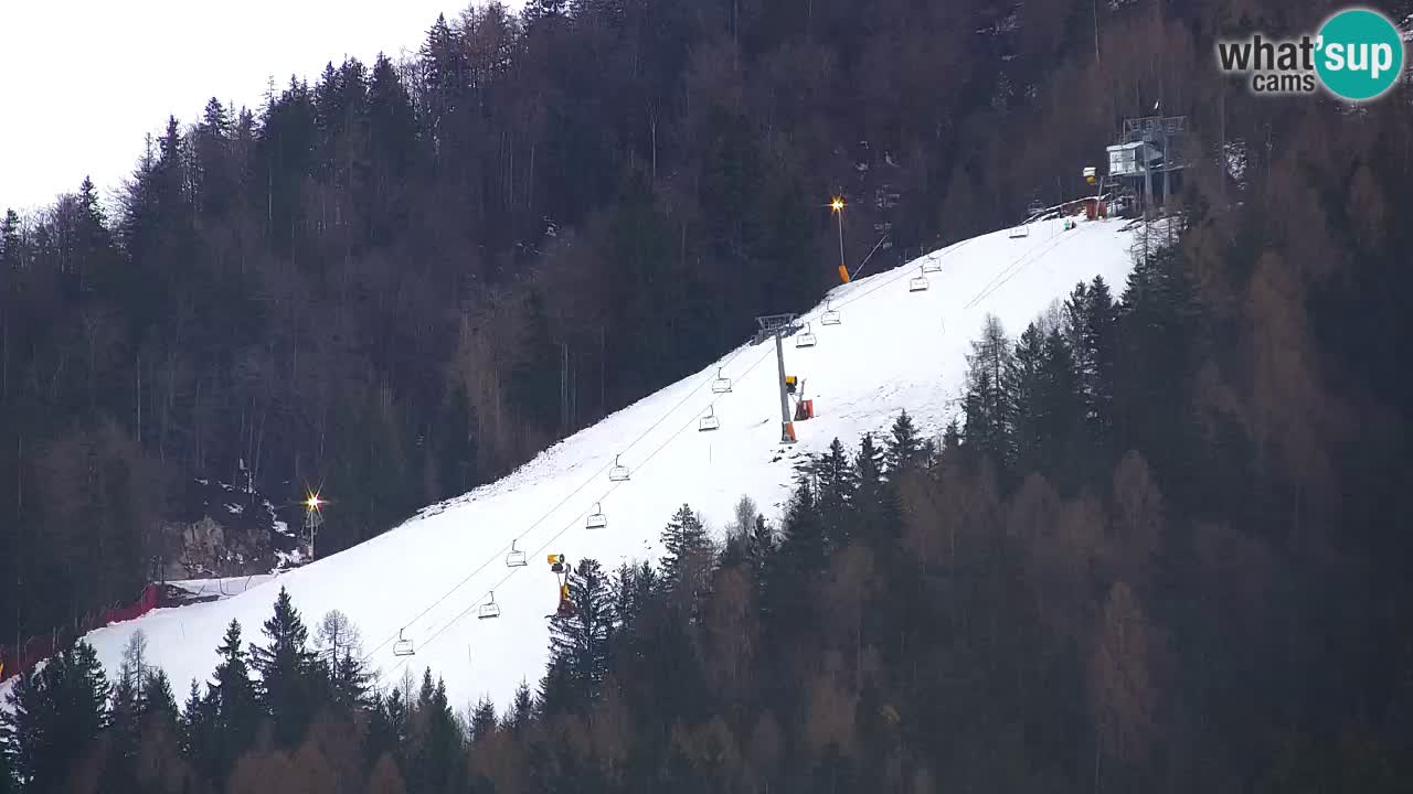 Ski Kranjska Gora | Velika Dolina