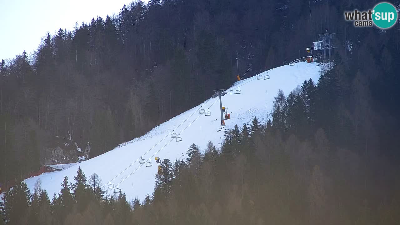 Station de ski Kranjska Gora | Velika Dolina