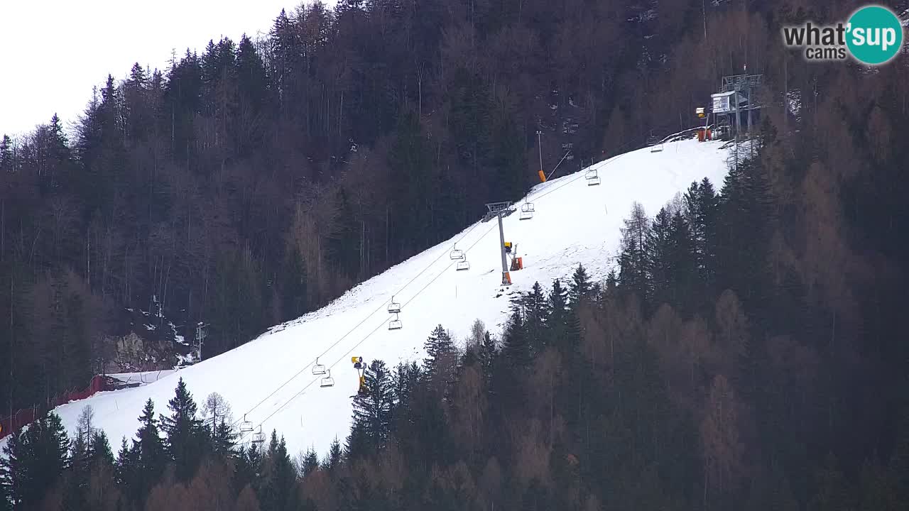 Skigebiet Kranjska Gora | Velika Dolina