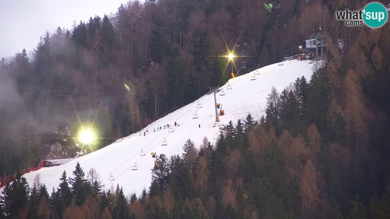 Skigebiet Kranjska Gora | Velika Dolina