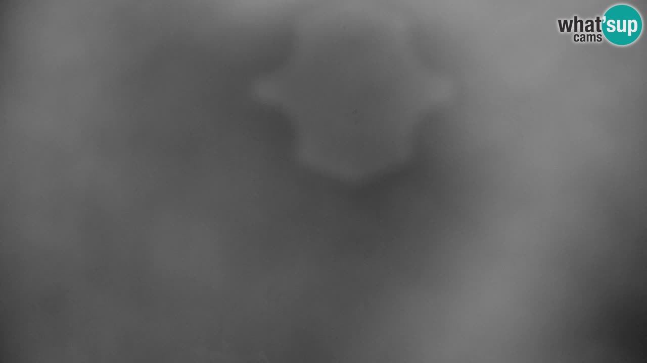 Skijanje Kranjska Gora | Velika Dolina