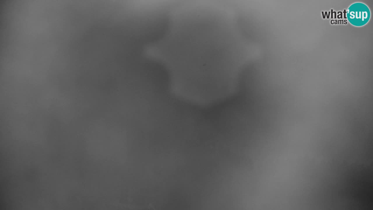 Kranjska Gora | Velika Dolina