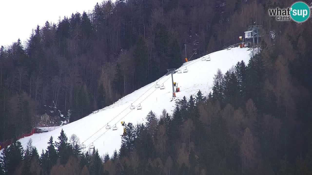Skigebiet Kranjska Gora | Velika Dolina