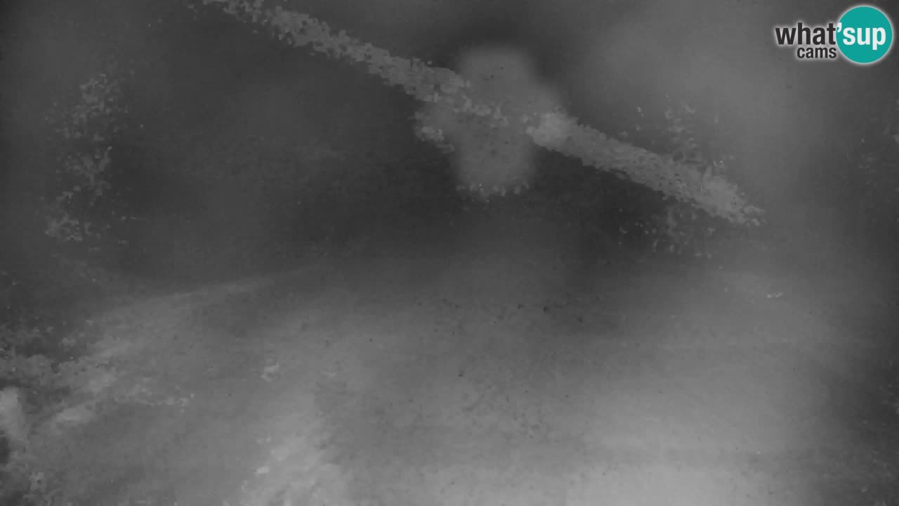 RTC Kranjska Gora | Velika Dolina