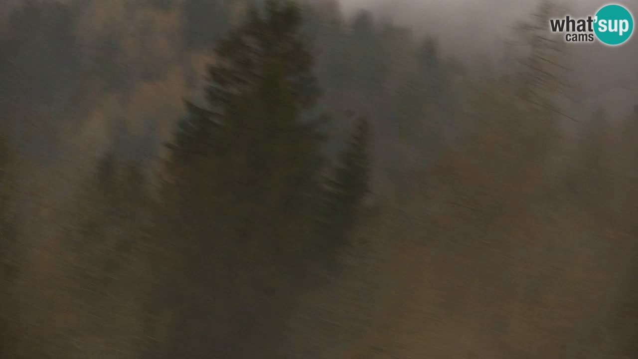 Station de ski Kranjska Gora | Velika Dolina