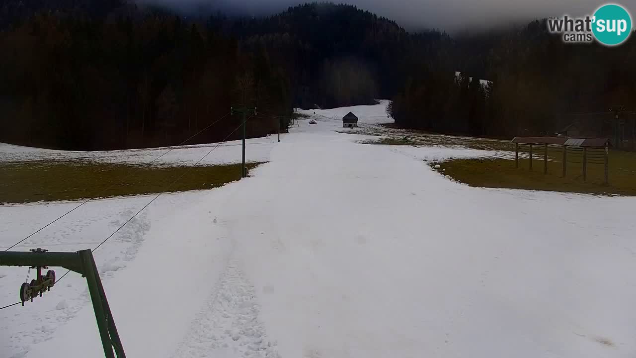 Ski Kranjska Gora | Velika Dolina
