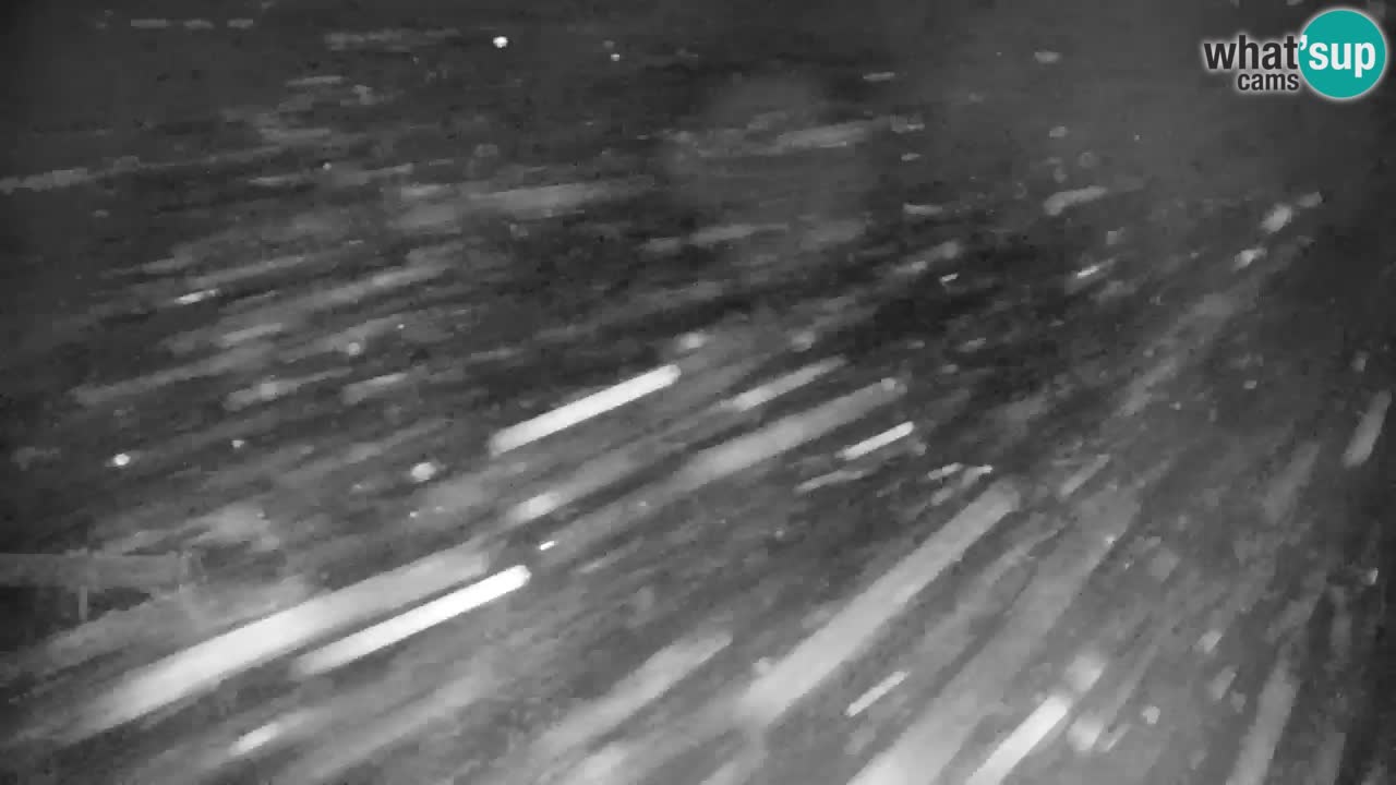 Skigebiet Kranjska Gora | Velika Dolina