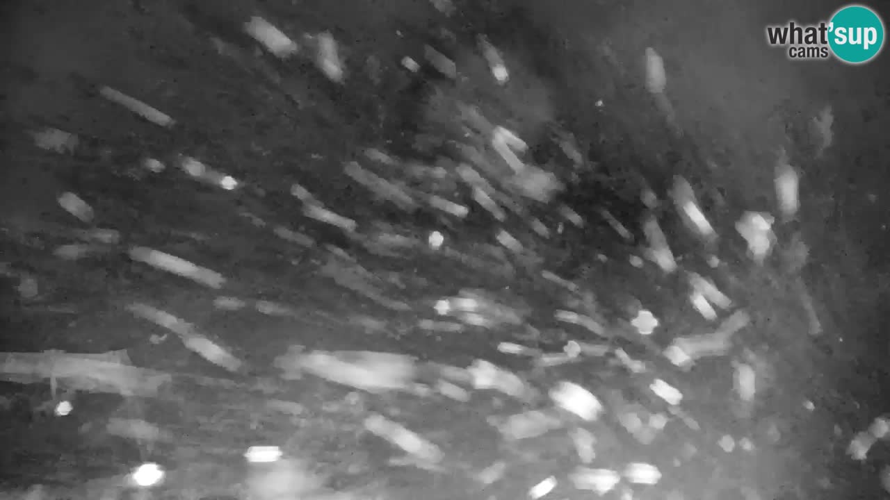 RTC Kranjska Gora | Velika Dolina