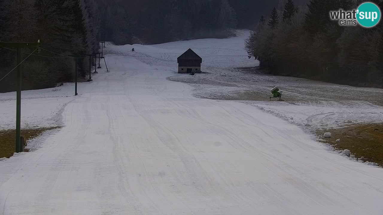 Skijanje Kranjska Gora | Velika Dolina