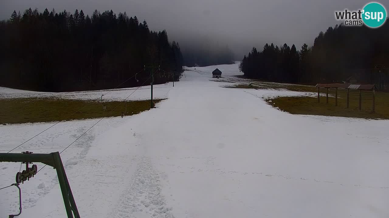 Skijanje Kranjska Gora | Velika Dolina