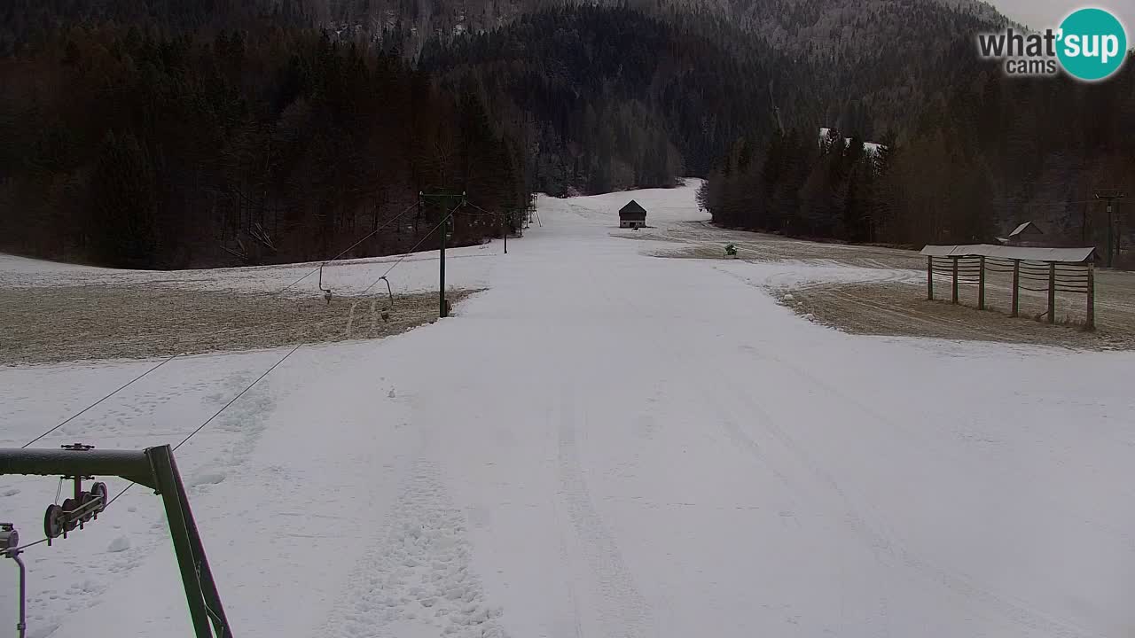 Station de ski Kranjska Gora | Velika Dolina