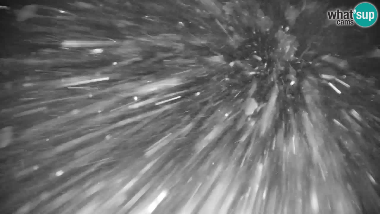 Estación de esquí Kranjska Gora | Velika Dolina