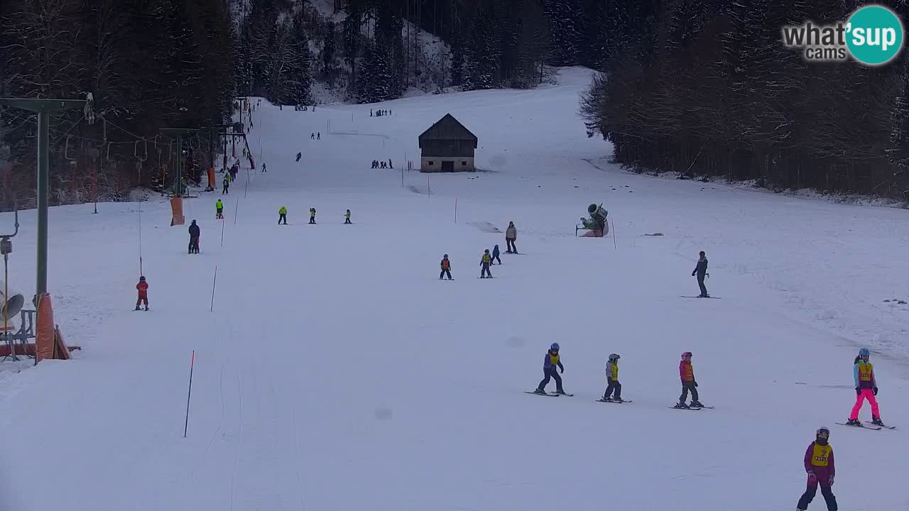 Skigebiet Kranjska Gora | Velika Dolina