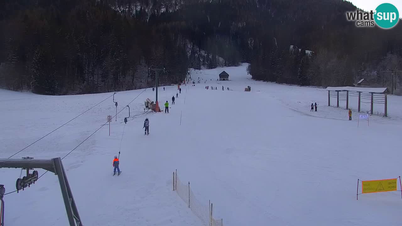 Skigebiet Kranjska Gora | Velika Dolina