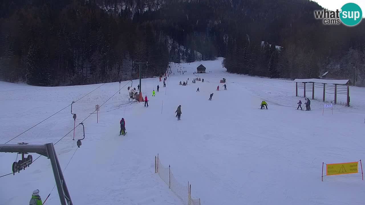 Skigebiet Kranjska Gora | Velika Dolina
