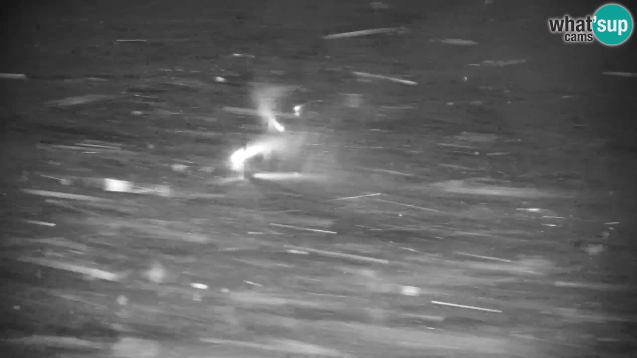 Ski Kranjska Gora | Velika Dolina