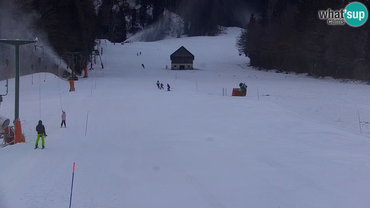 Estación de esquí Kranjska Gora | Velika Dolina