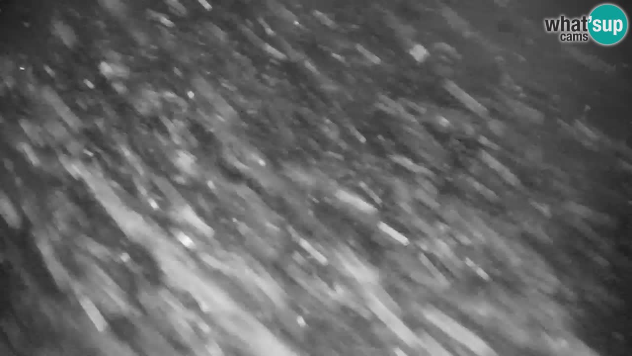 Estación de esquí Kranjska Gora | Velika Dolina