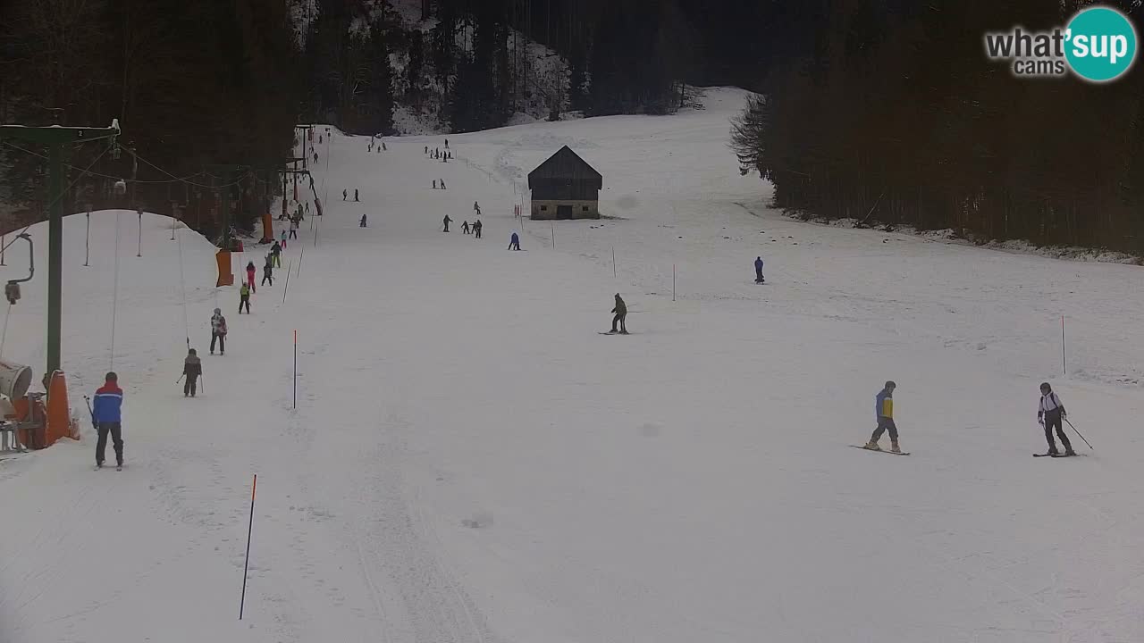 Skijanje Kranjska Gora | Velika Dolina