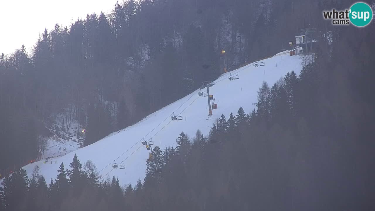 Ski Kranjska Gora | Velika Dolina