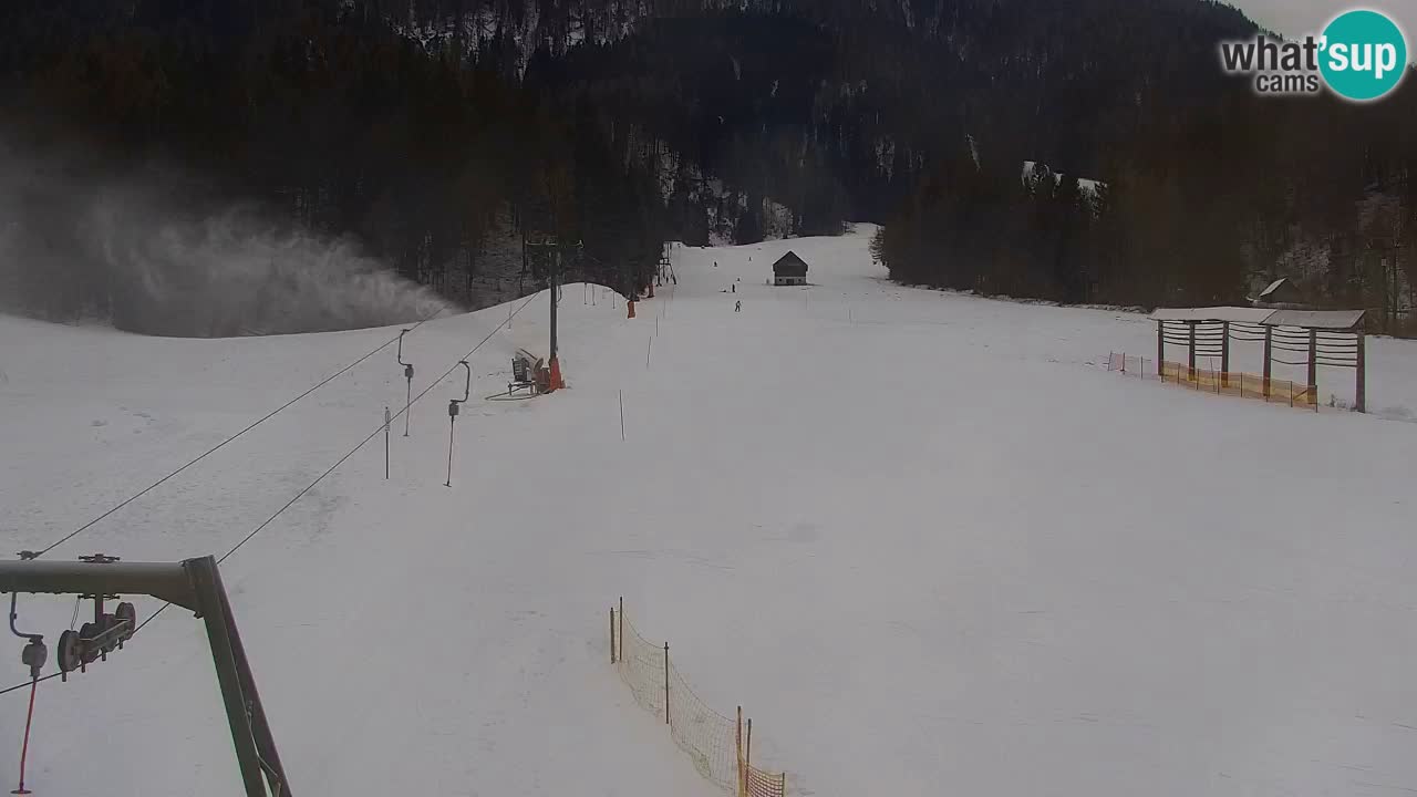 Ski Kranjska Gora | Velika Dolina