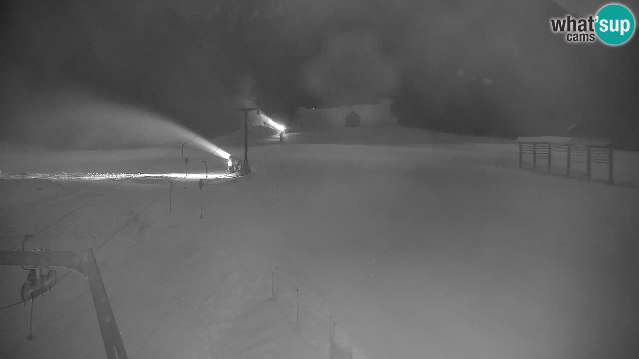 Estación de esquí Kranjska Gora | Velika Dolina