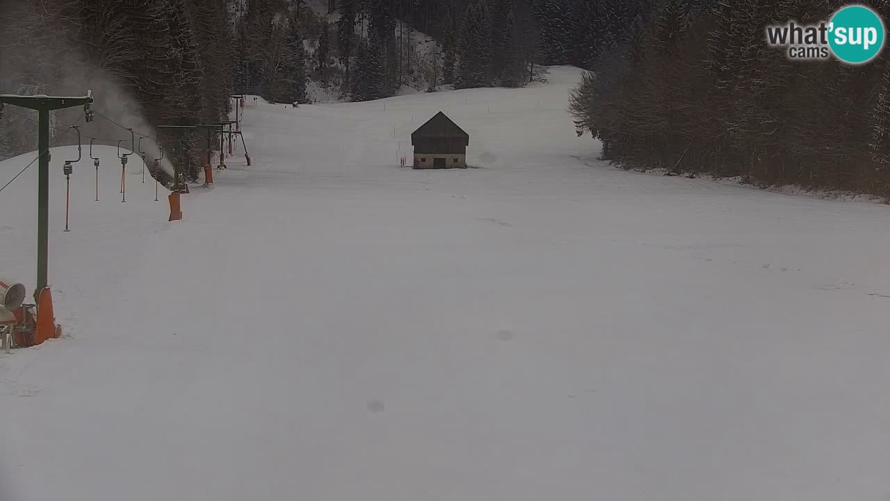 Kranjska Gora | Velika Dolina