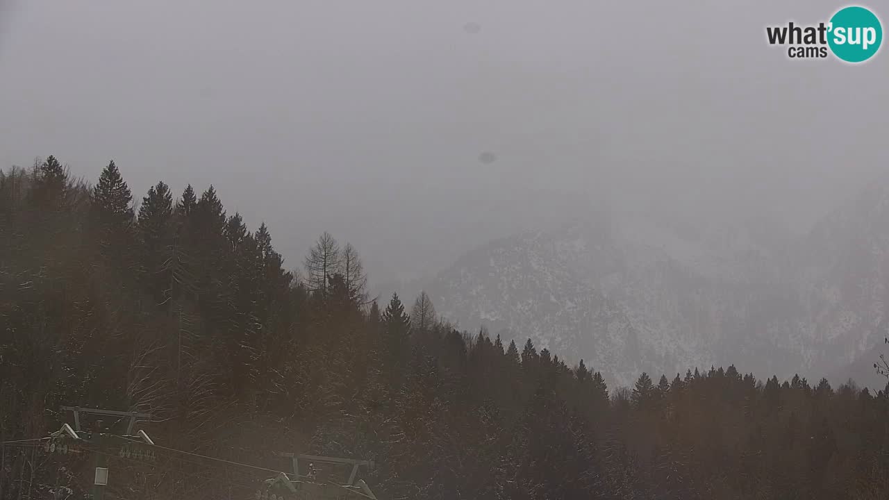 Ski Kranjska Gora | Velika Dolina