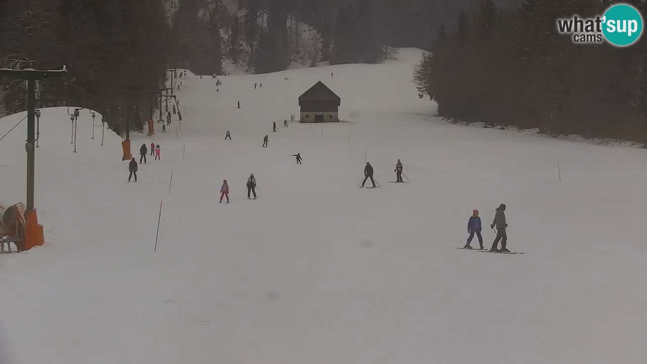 Skijanje Kranjska Gora | Velika Dolina