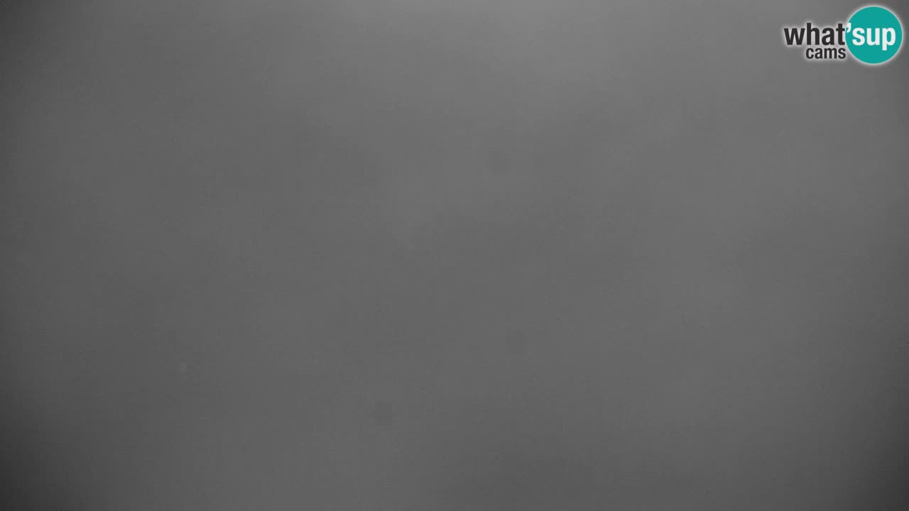 Ski Kranjska Gora | Velika Dolina