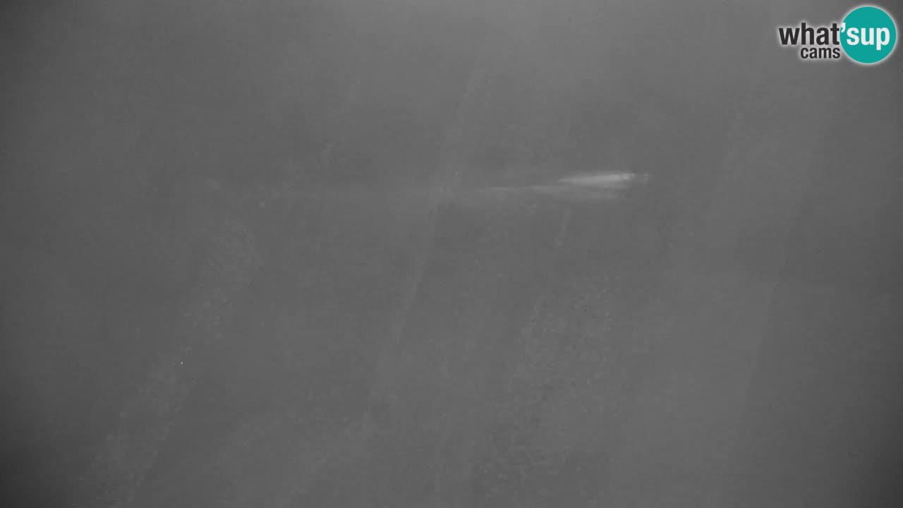 Station de ski Kranjska Gora | Velika Dolina