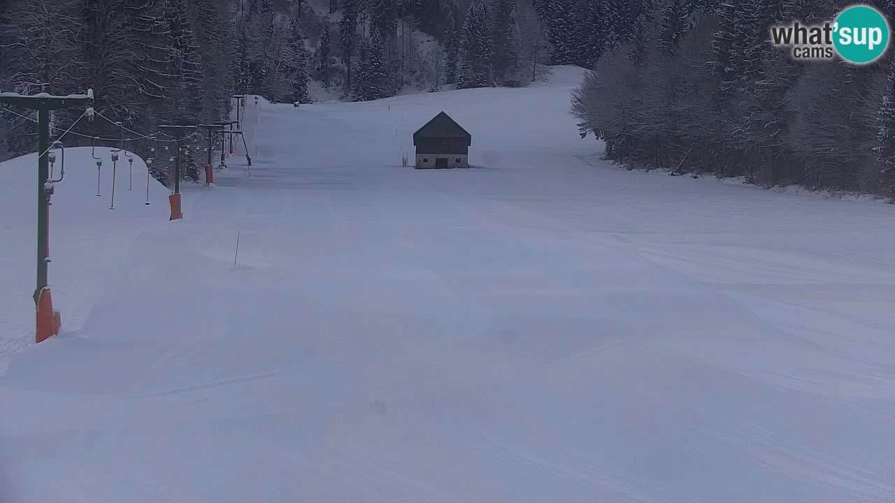 Station de ski Kranjska Gora | Velika Dolina