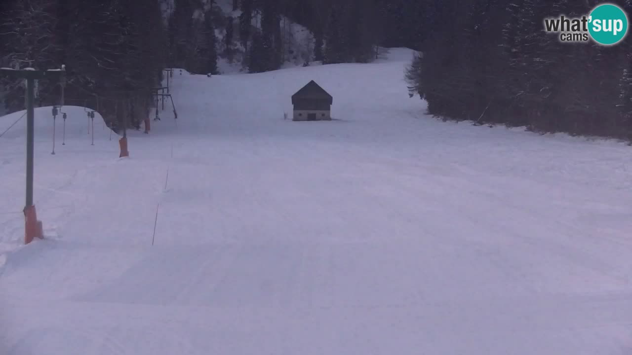 Skijanje Kranjska Gora | Velika Dolina