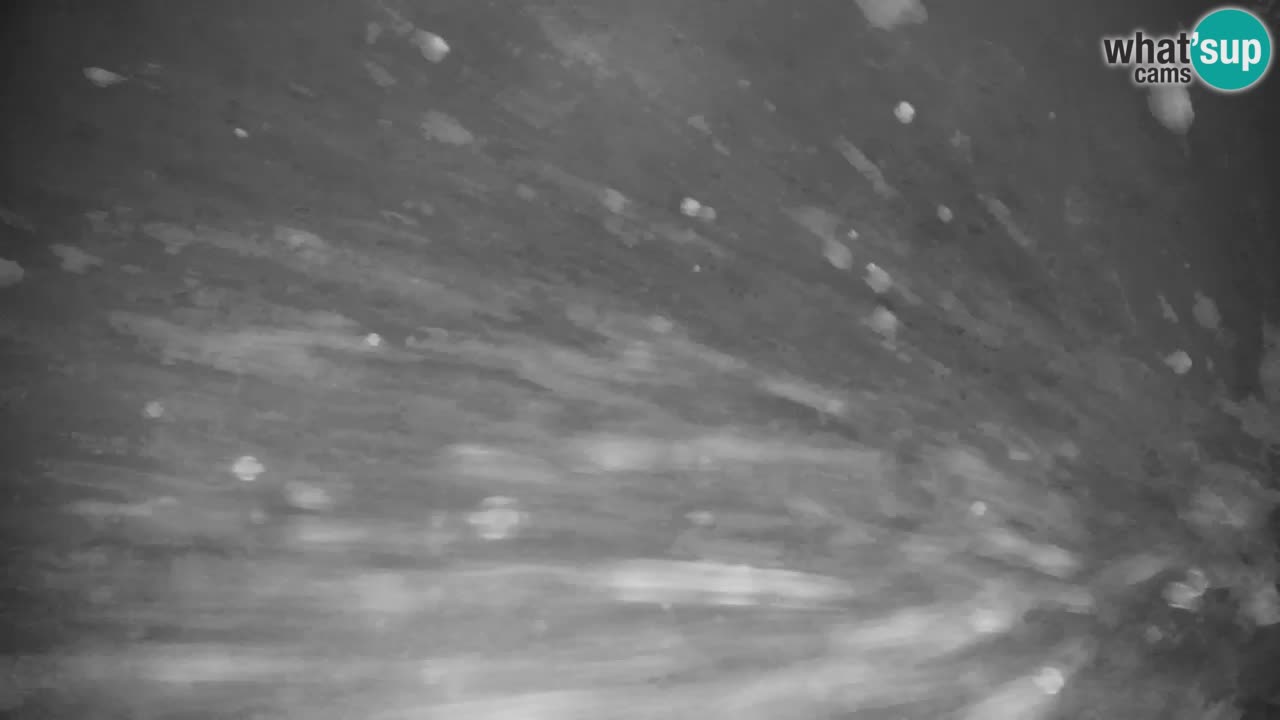 Skigebiet Kranjska Gora | Velika Dolina