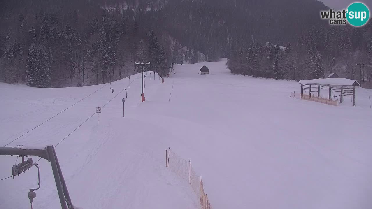 RTC Kranjska Gora | Velika Dolina