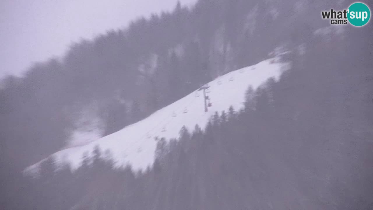 RTC Kranjska Gora | Velika Dolina