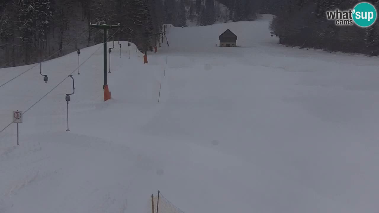 Kranjska Gora | Velika Dolina